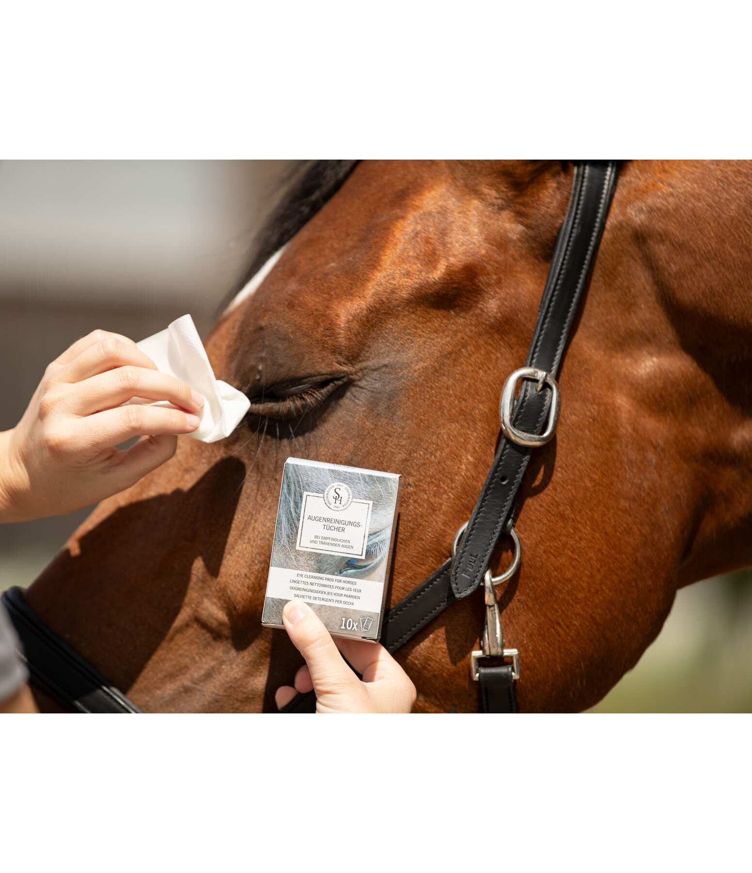 Lingettes nettoyantes pour les yeux 